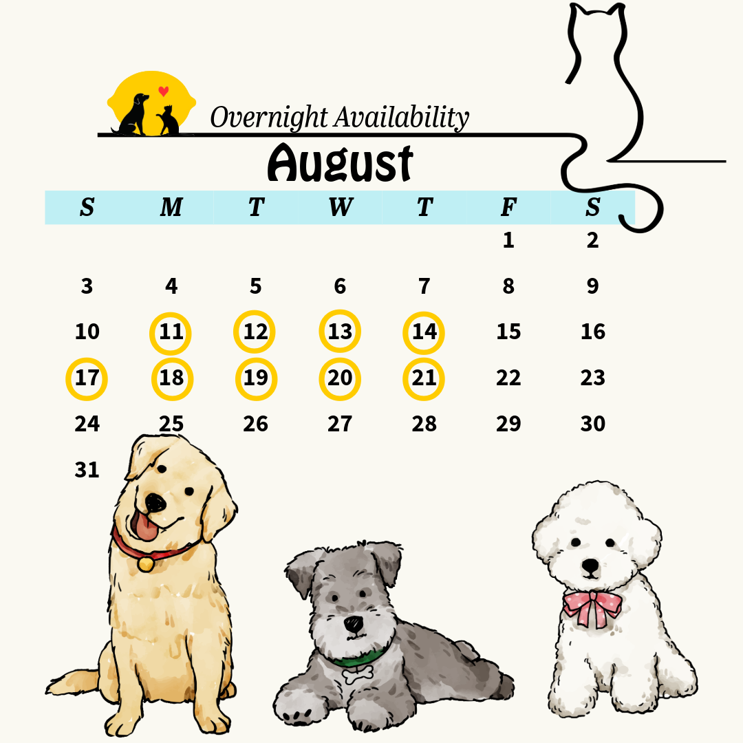 august