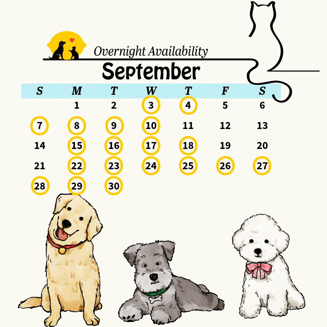 september