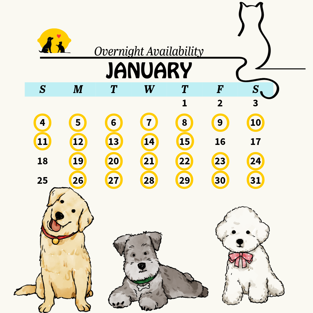 Services calendar 10 (1)