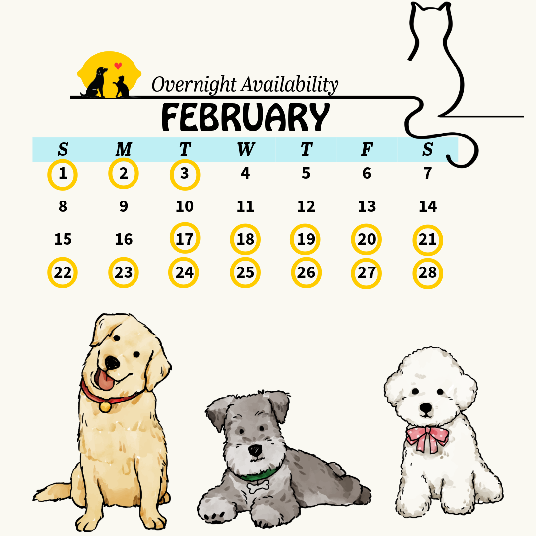 Services calendar 11