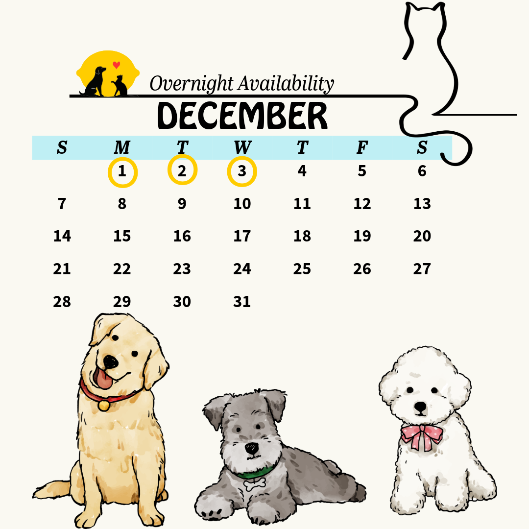 Services calendar 9 (3)