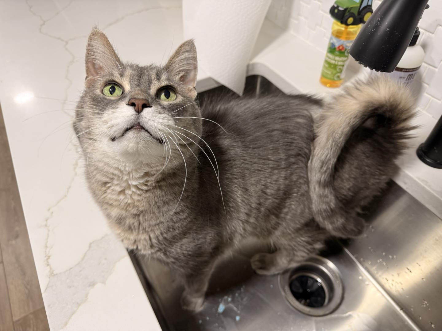 605711928 122165030762625102 3004689608989543654 n