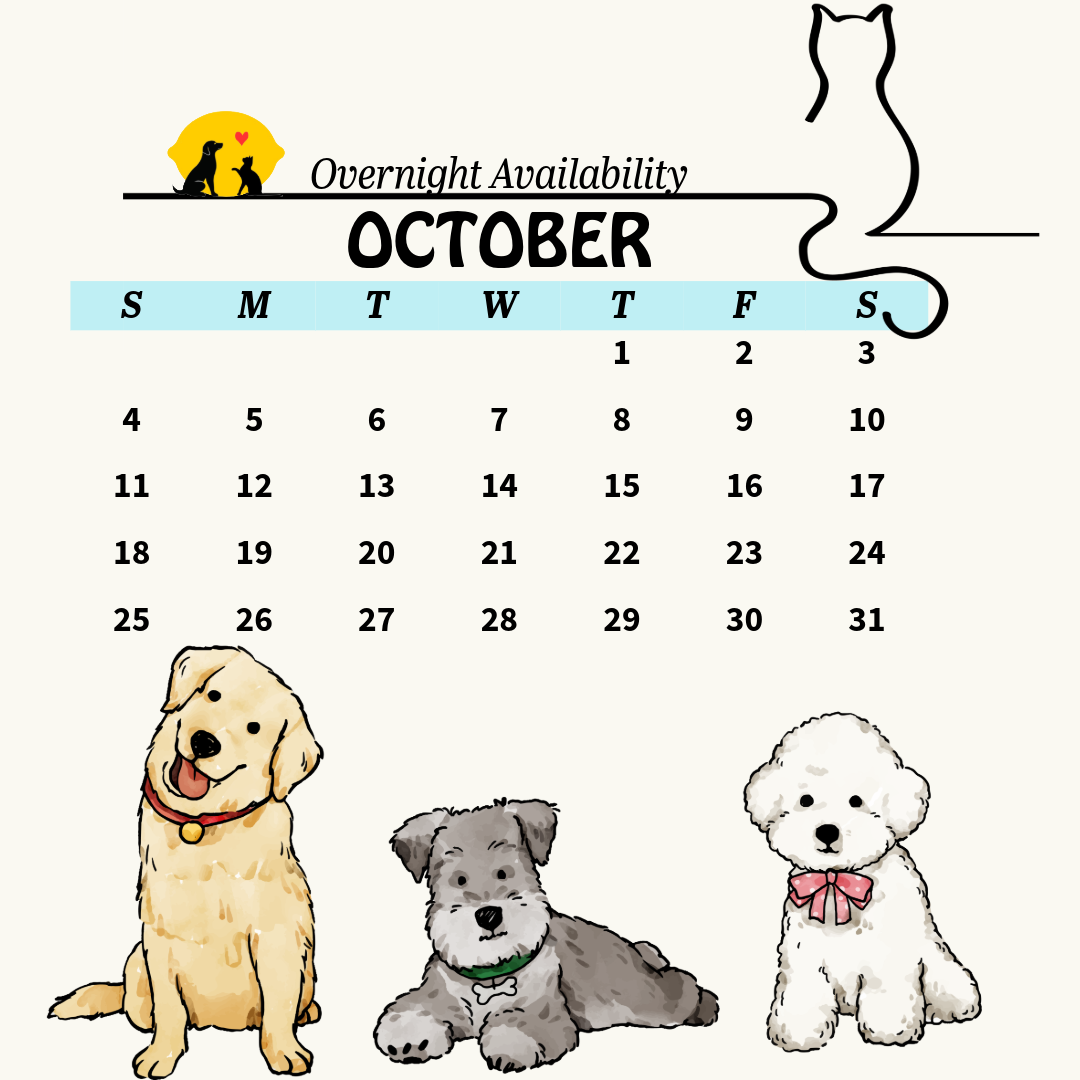 calendar 13 (5)