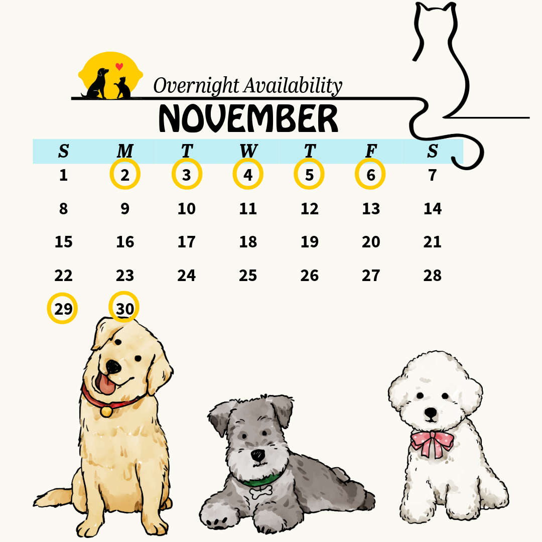 calendar 14 (6)