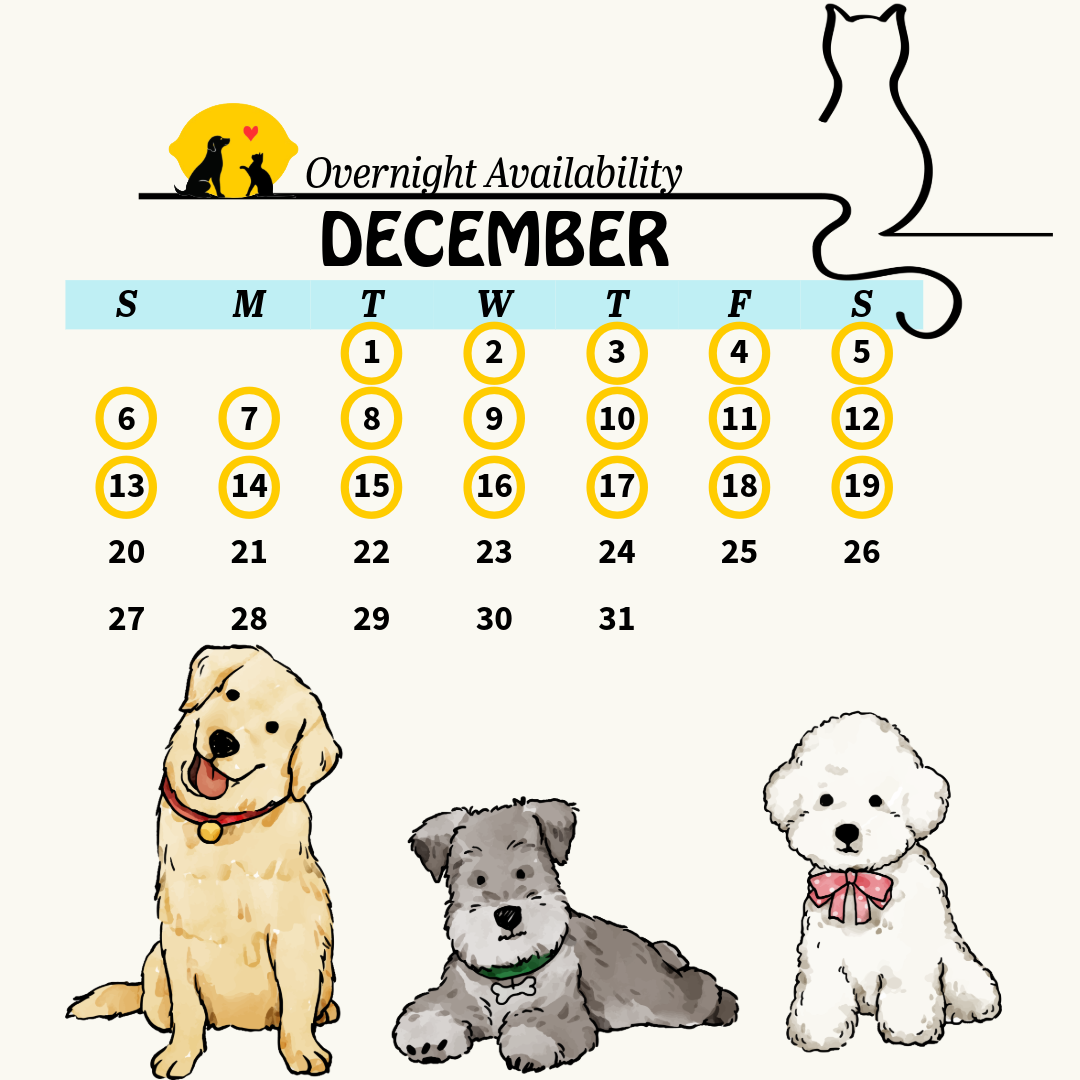 calendar 15 (4)