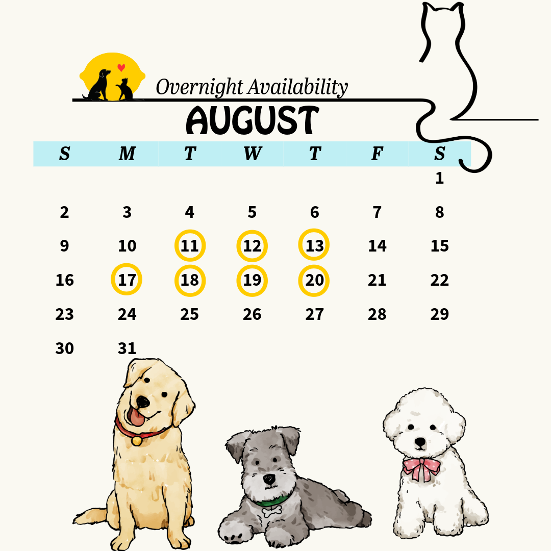 calendar 10 (7)