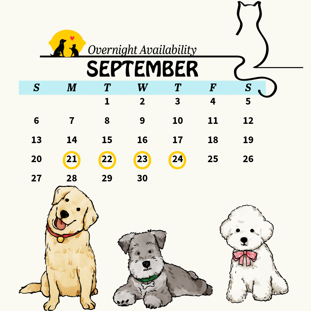 calendar 11 (7)
