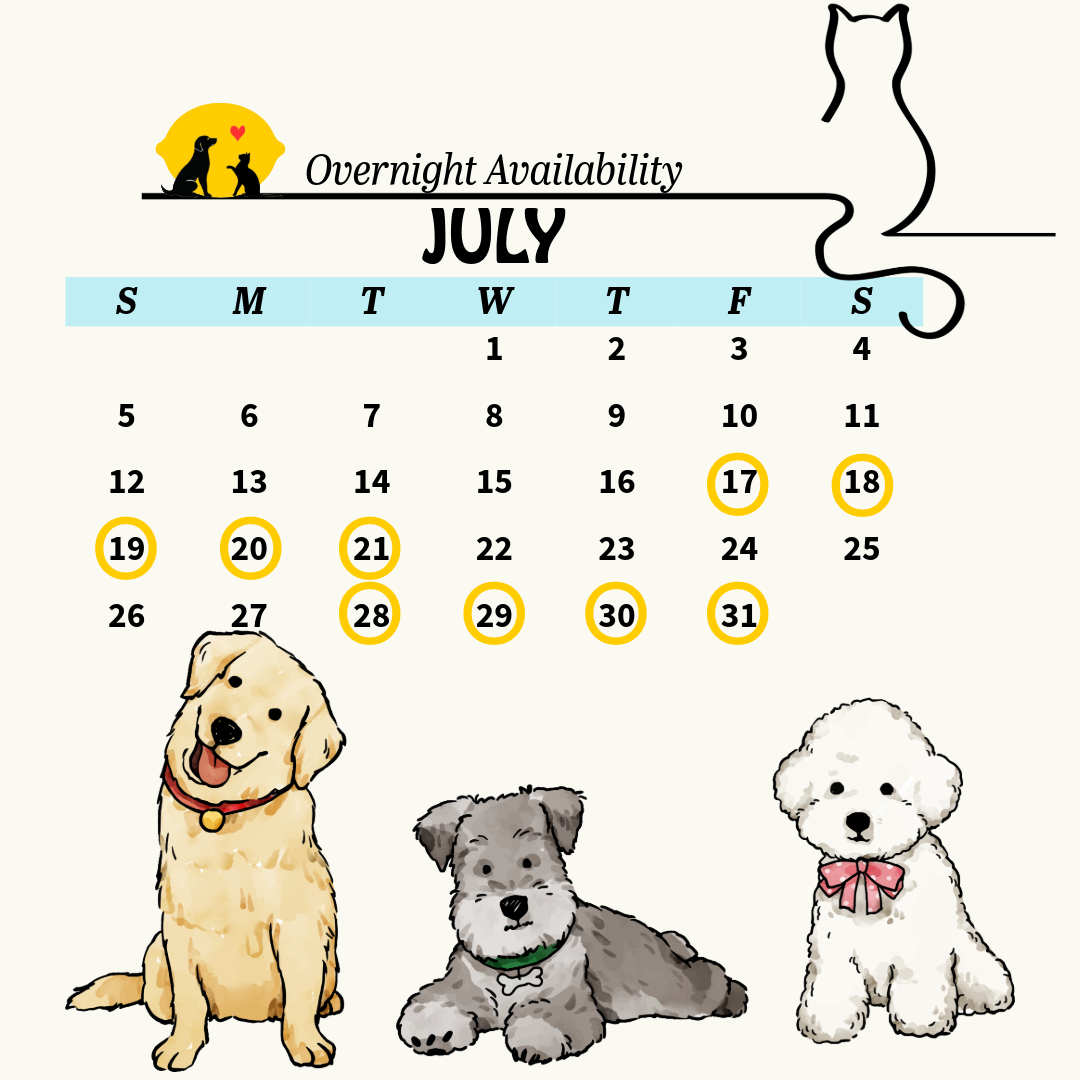calendar 9 (6)