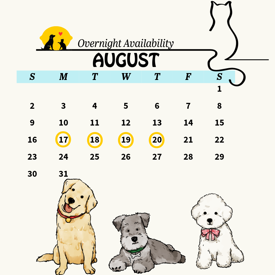 Services calendar 9