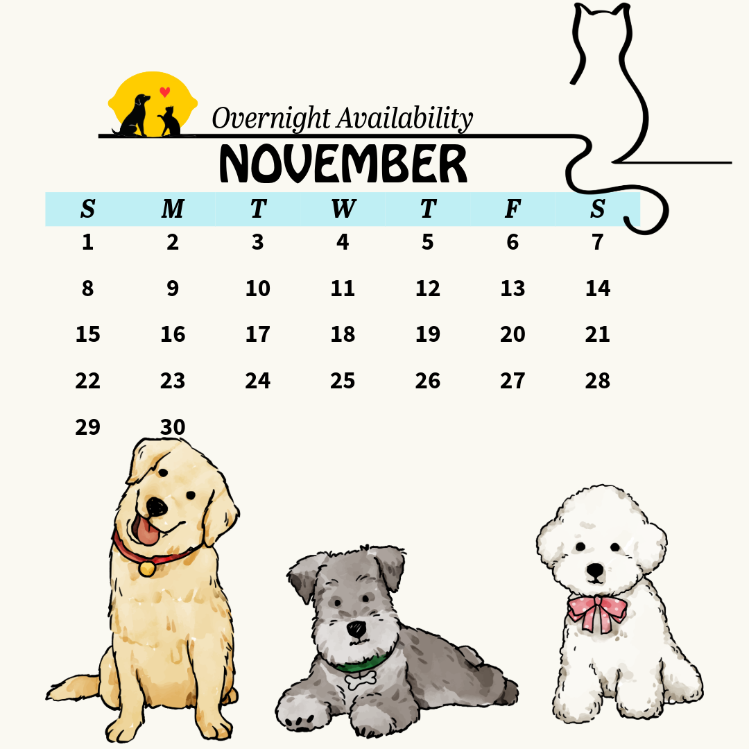 Services calendar 12 (7)