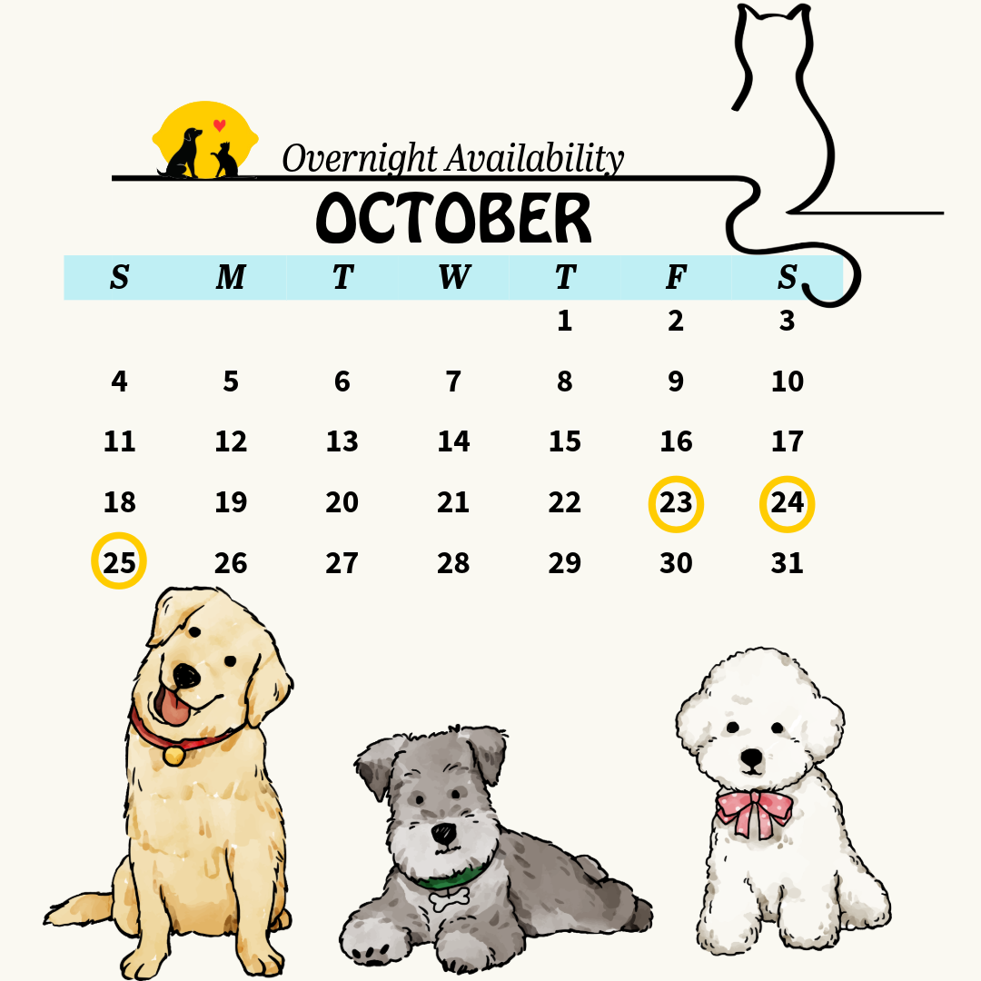 calendar 10 (8)
