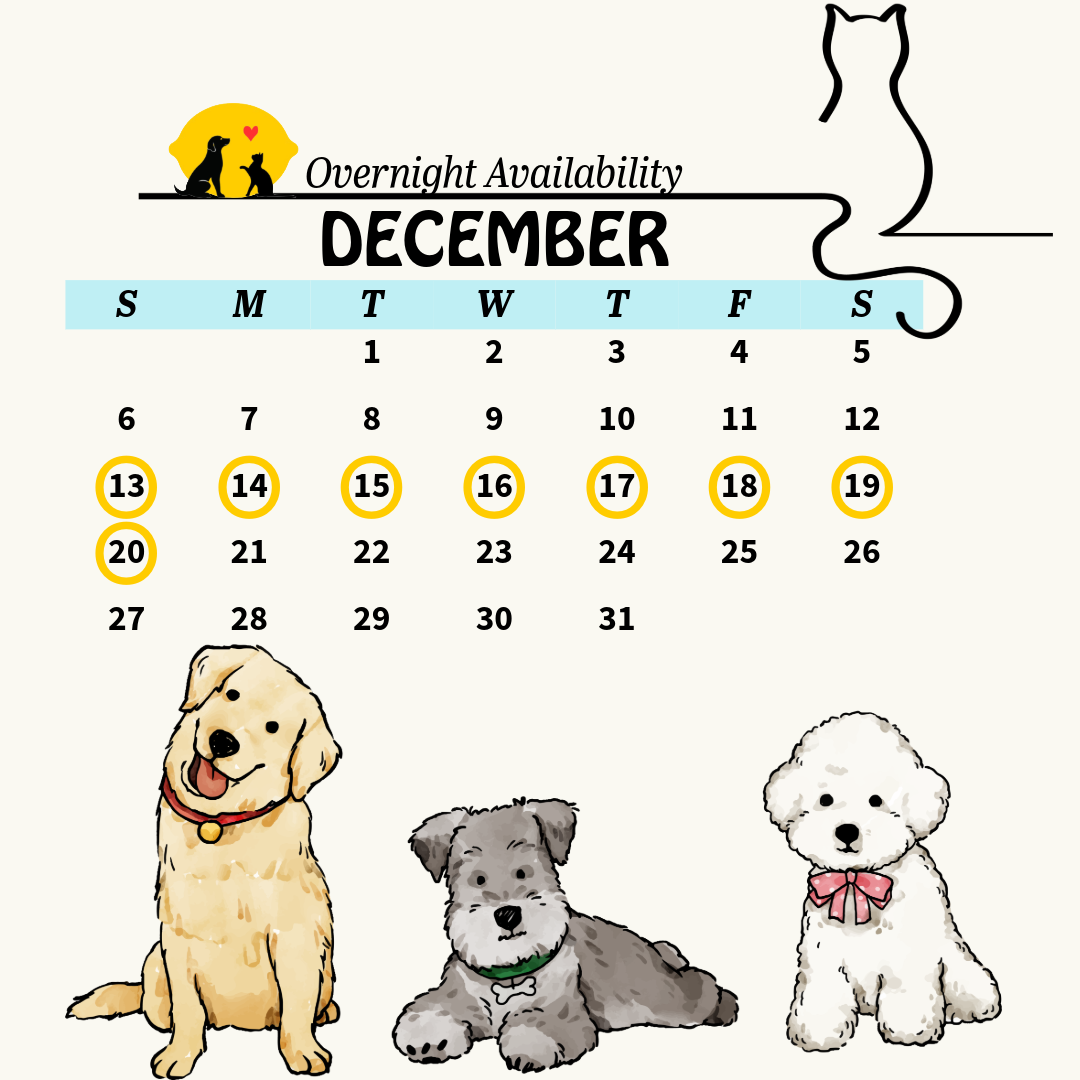calendar 12 (8)