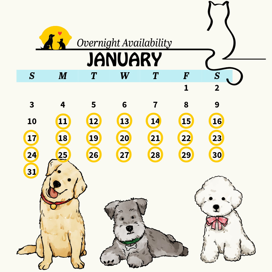 calendar 13 (6)