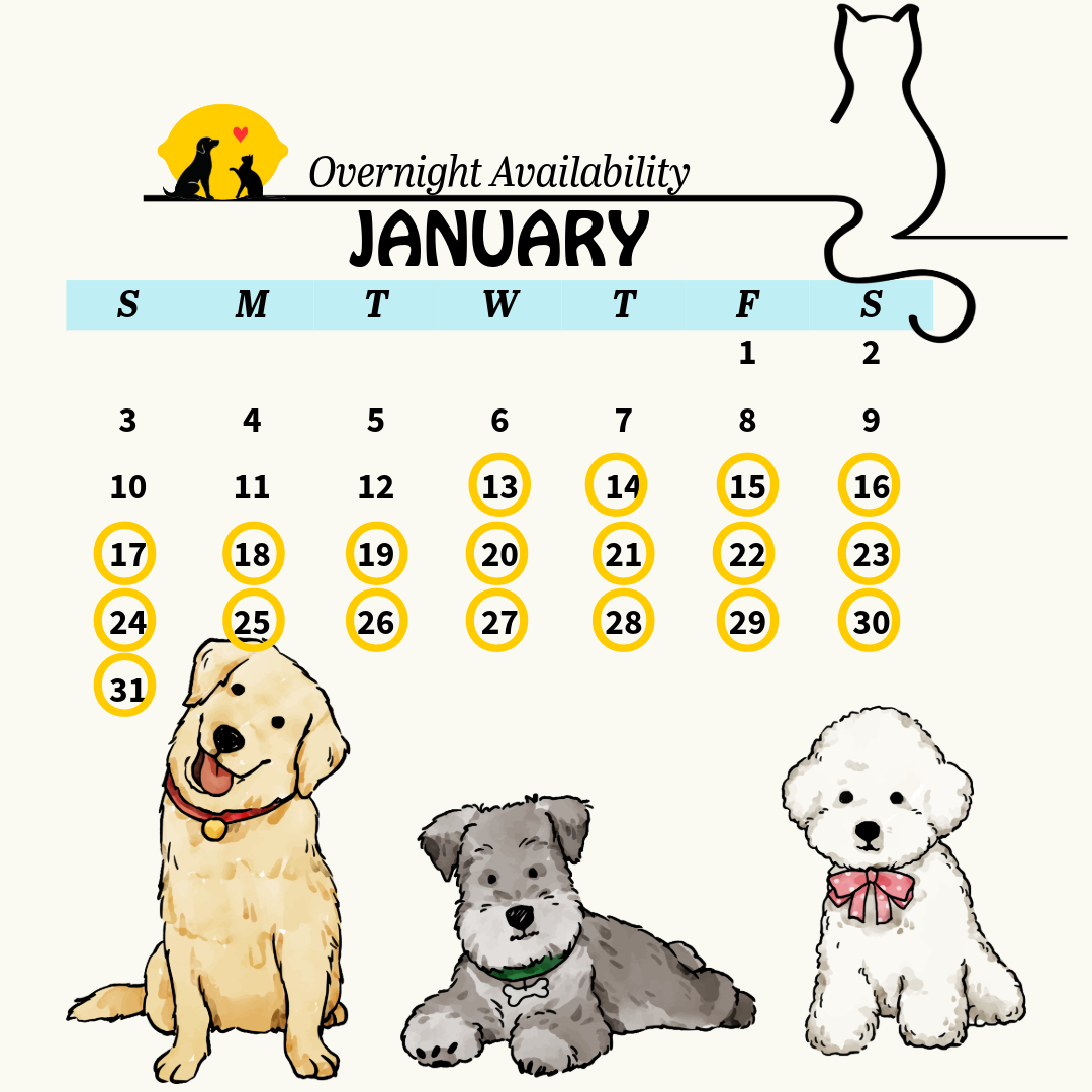 Services calendar 13 (7)