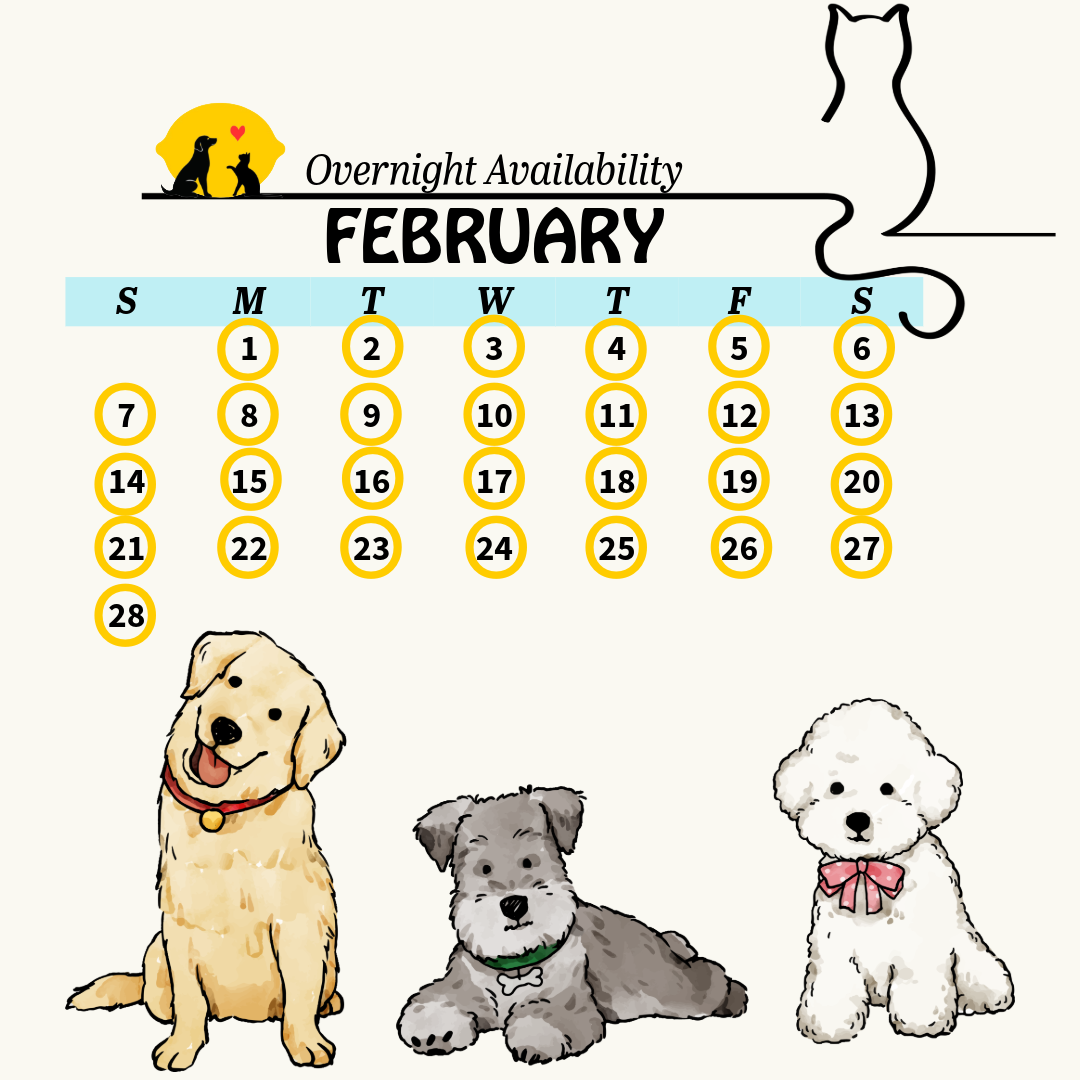 calendar 14 (7)