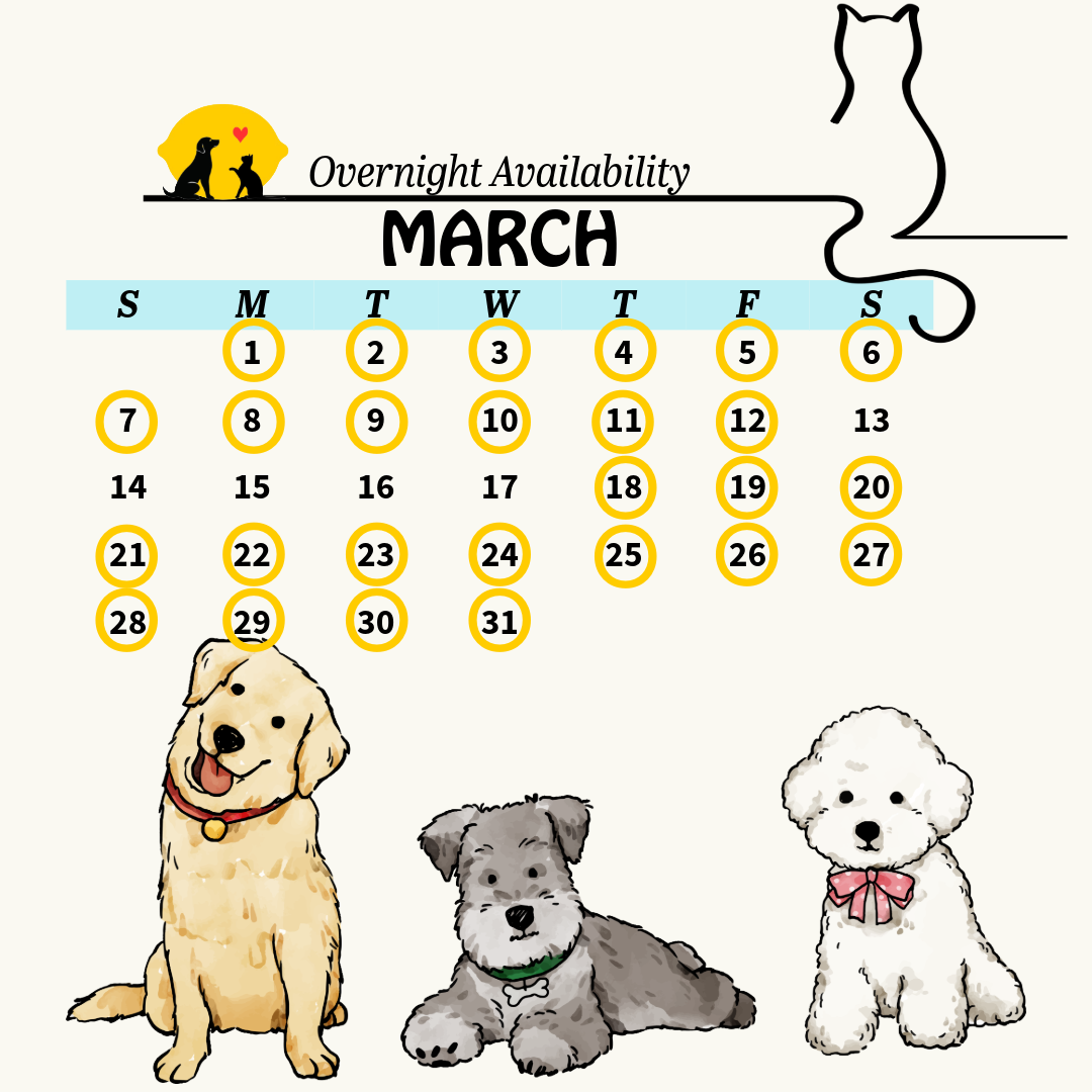 calendar 15 (5)