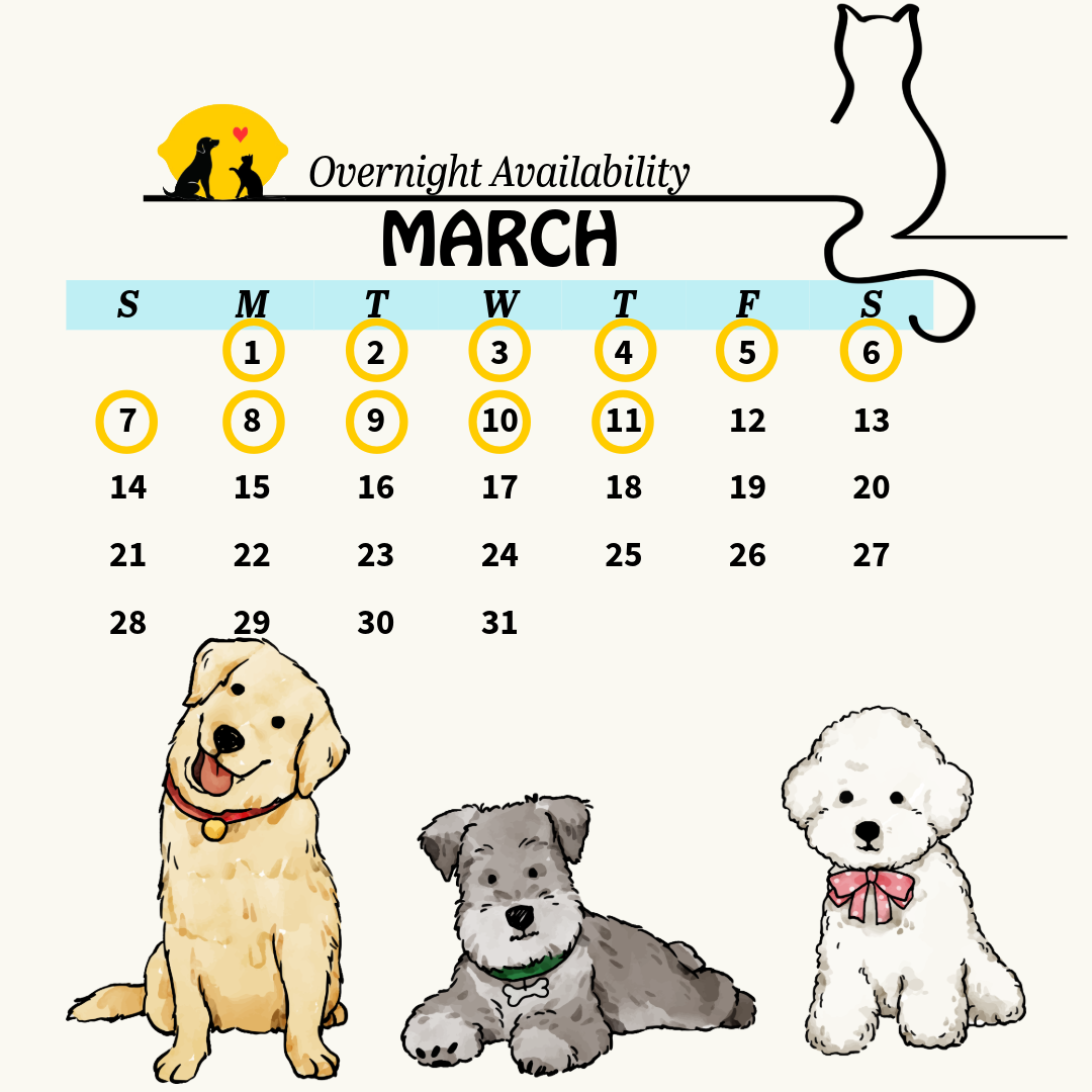 Services calendar 15 (7)