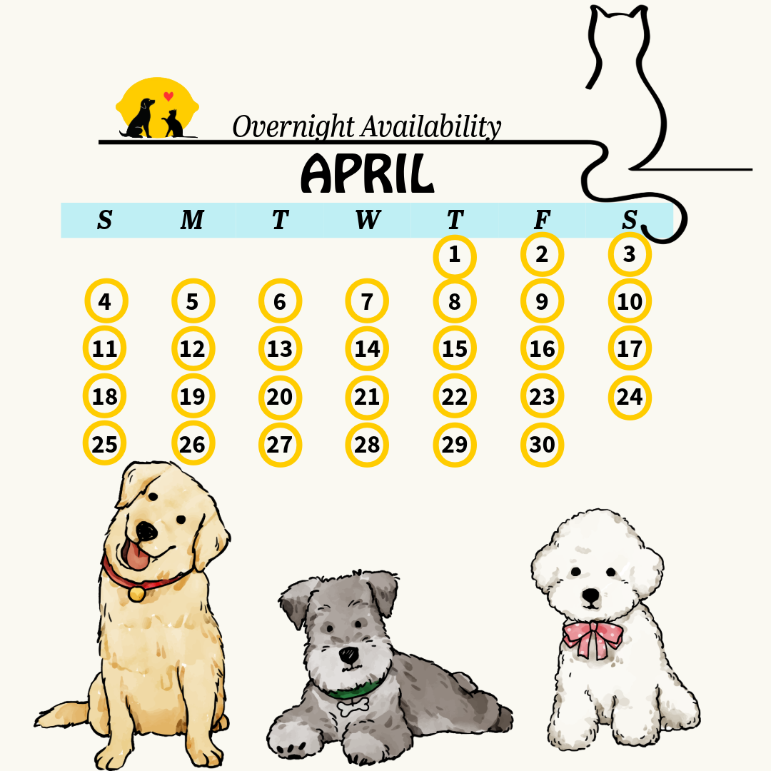 calendar 16 (5)