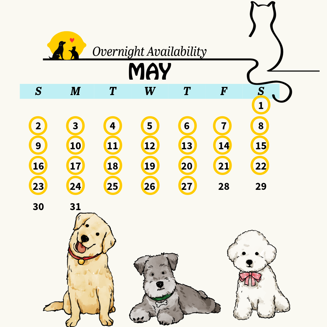 calendar 17 (2)