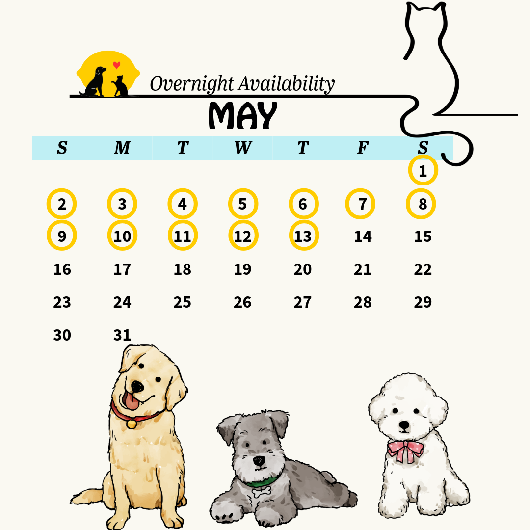 Services calendar 17 (3)