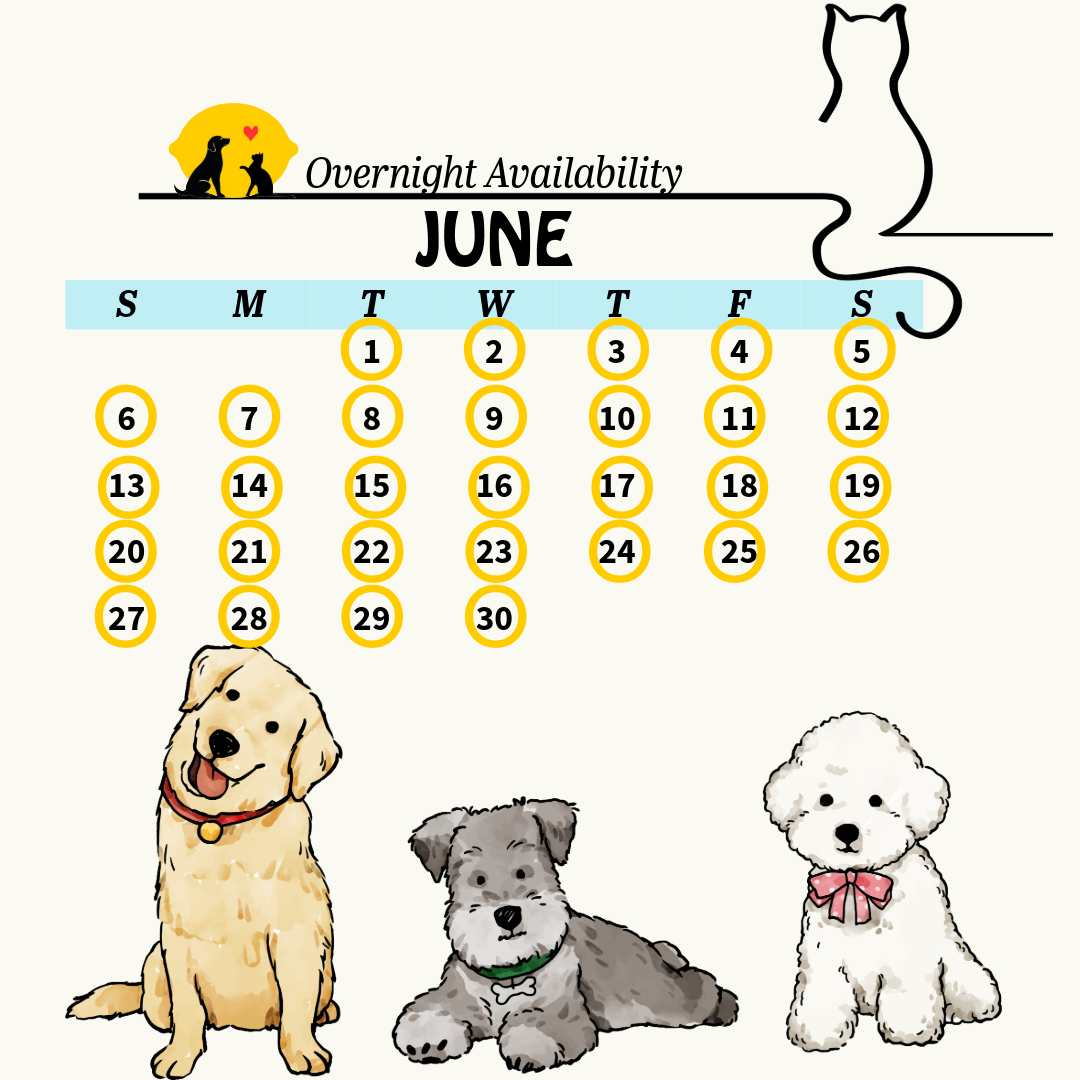 calendar 18 (1)