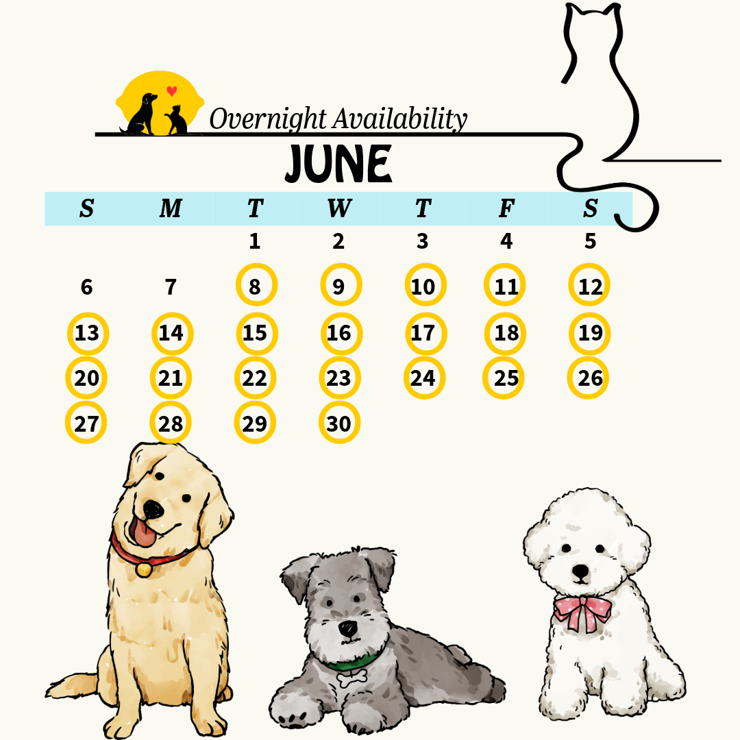 Services calendar 18 (3)