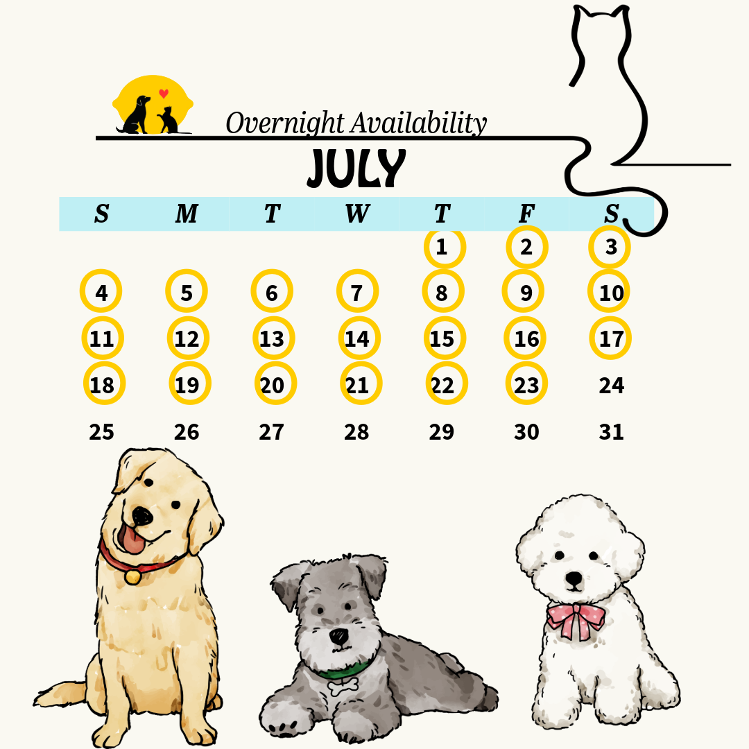 calendar 19 (1)