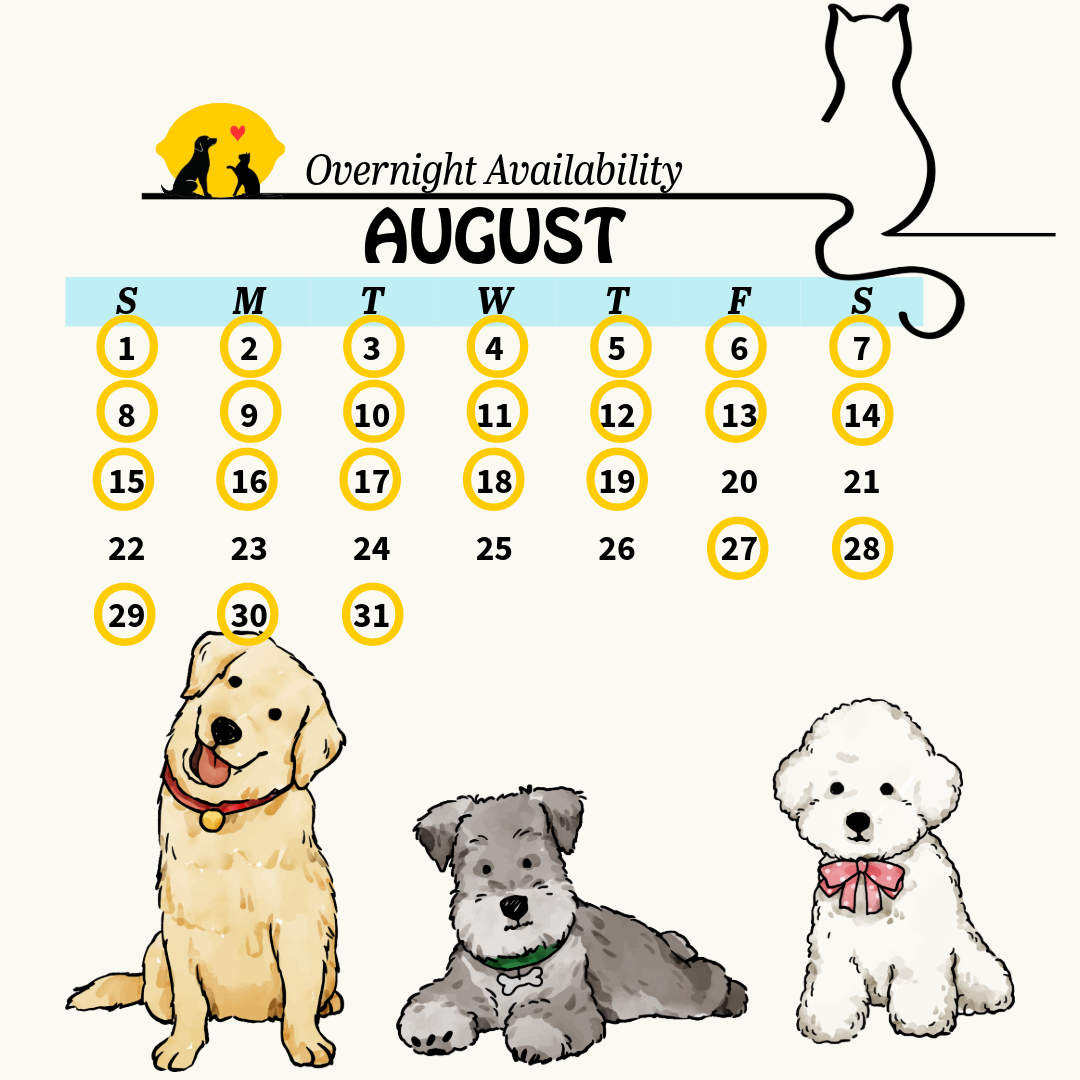 calendar 20