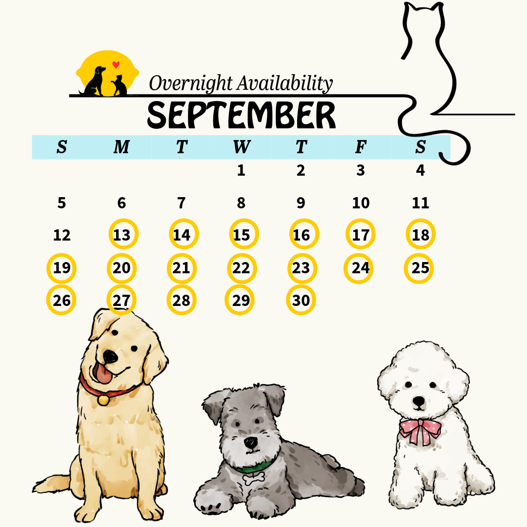 Services calendar 21 (1)