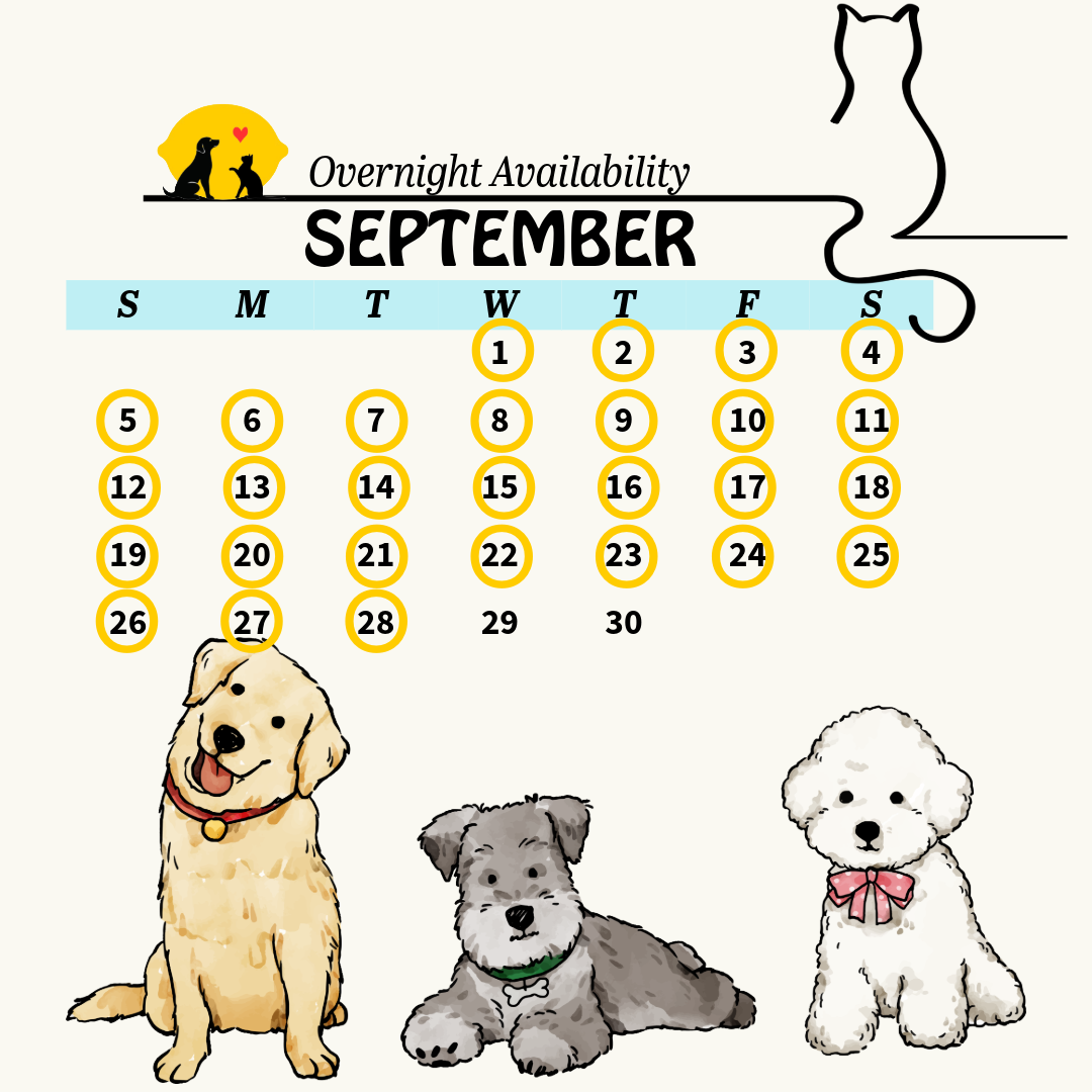 calendar 21