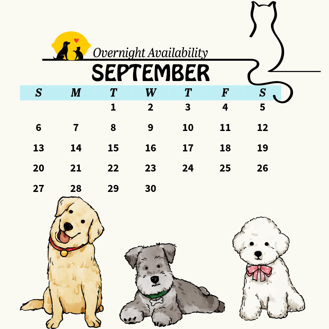 calendar 9 (7)